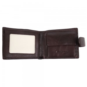 YL Мужское портмоне Catiroya L541-207