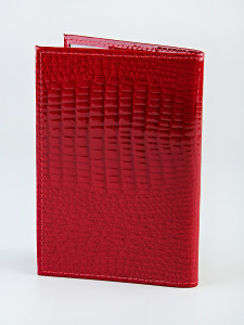 YG Обложка на паспорт "838"