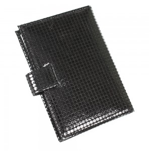 YG-079 Обложка на автодокументы с паспортом Nina Farmina 9320-037