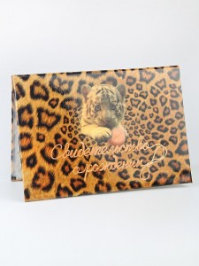 D-012 Папка для свидетельство о рождении