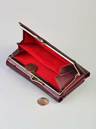 YS Кошелек женский  Barez 102-309